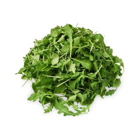 Lettuce Baby Rocket Italy