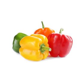 Mini Mix Tinkerbell Capsicum Netherlands