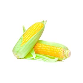 Organic Sweet Corn