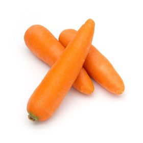 Carrot China