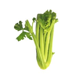 Celery Sticks