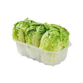 Lettuce Little Gem Spain
