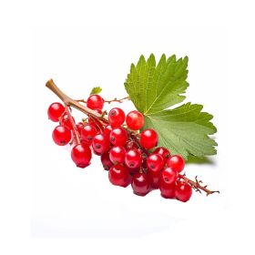 Redcurrant Punnet Chile