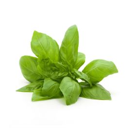 Sweet Basil Thailand