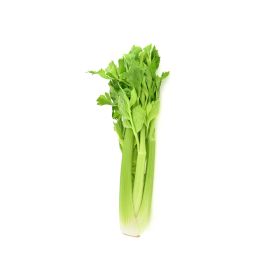 Celery Thailand