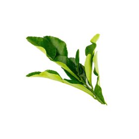 Lemon Leaves Thailand