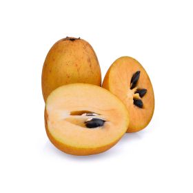 Sapodilla Thailand