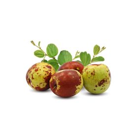 Chocolate Jujube Thailand