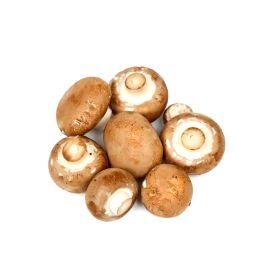 Mushroom Brown Holland