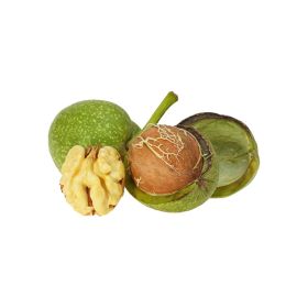Walnut In Shell Green Lebanon