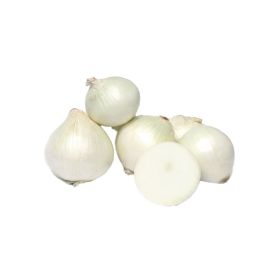 Onion White Lebanon