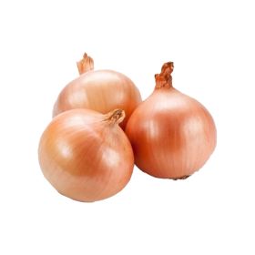 Onion Brown Lebanon
