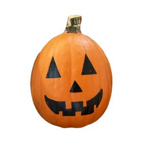 Painted Pumpkins Jack O Lantern Collection 1.7KG Assorted