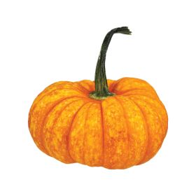 Sparkler Pumpkin USA