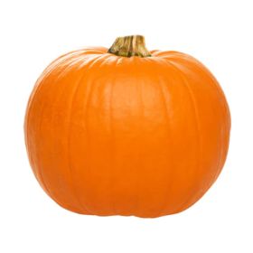 Pumpkin Bin Small Europe