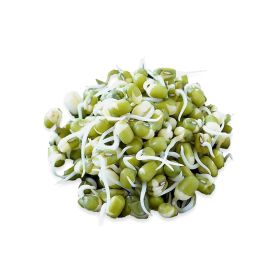 Mung Bean Sprouts
