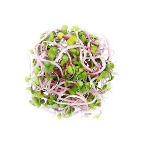 China Rose Sprouts