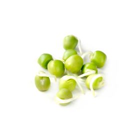 Green Peas Sprout