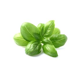 Organic Basil