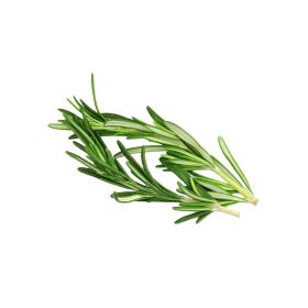 Organic Rosemary