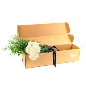 Bunch Of Carnation White In Box