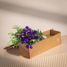 Purple Eustomas In Box - Medium