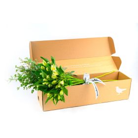 Bunch Of Alstromeria White In Box