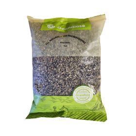 Grandiose Freqi White