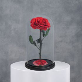 Large Infinity Single Red Rose