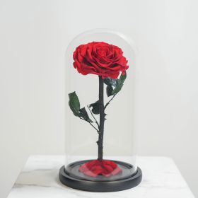 Large Infinity Single Red Rose