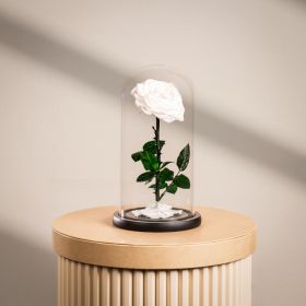 Large Infinity Single White Rose