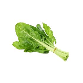 Organic Chard Green