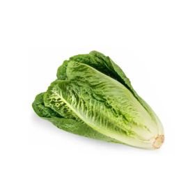 Organic Lettuce Romaine