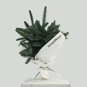 Nobilis Joyful Bouquet