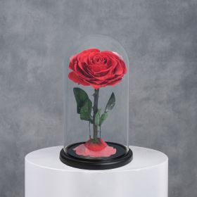 Mini Red Infinity Rose