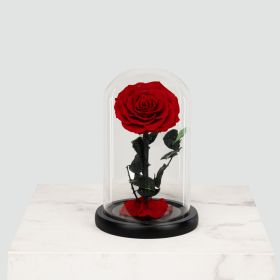 Mini Red Infinity Rose