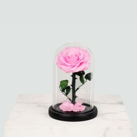 Mini Light Pink Infinity Rose