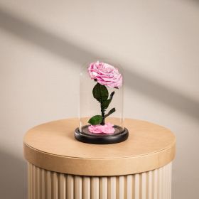 Mini Light Pink Infinity Rose