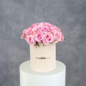 Premium Beige Allure Box