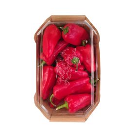 Premium Capsicum Mini Red Local