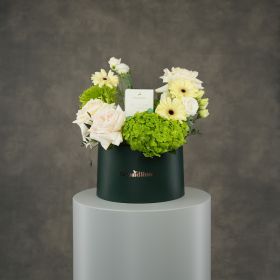 Jade Petal Fragrance Collection - Aqua Glacia