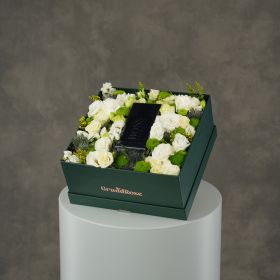 Alba Verde Fragrance Collection - Hugo Boss