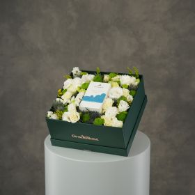 Alba Verde Fragrance Collection - Aqua Dew