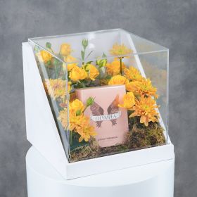 Citrine Touch Fragrance Collection - Paco Rabanne Olympea