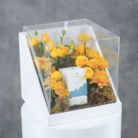 Citrine Touch Fragrance Collection - Aqua Dew