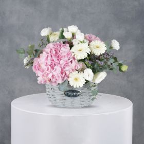 Little Princess Blooms