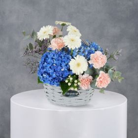 Little Prince Blooms