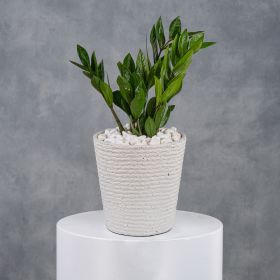 Peridot in White Sands