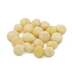 Salted Roasted Macadamia