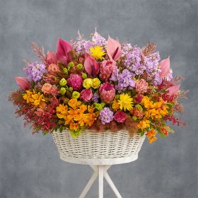 The Bloom of The Emirates